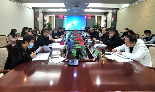 莲湖区人大常委会代表莅临公司视察调研国际健康医药全产业链总部经济区项目